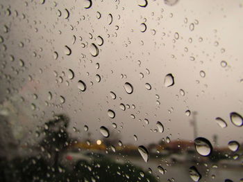 Close-up of water drops on window