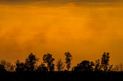 Silhouette trees against sky during sunset