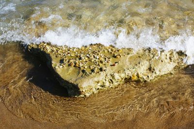 High angle view of surf on beach