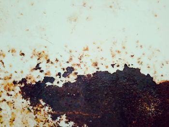 Close-up of fresh wall against sky