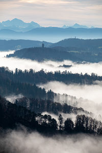 High angle view of trees on landscape against sky