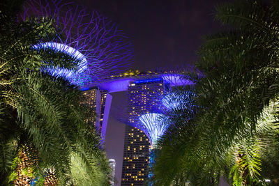 Low angle view of illuminated trees in city at night