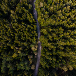 High angle view of waterfall in forest