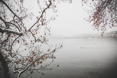 Scenic view of lake against clear sky
