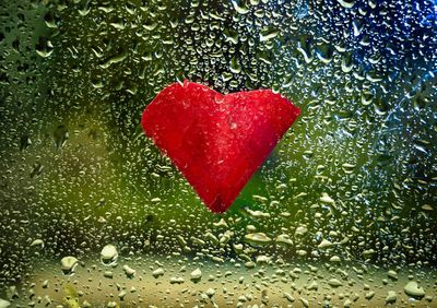 Close-up of red heart shape on leaf