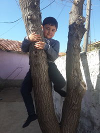 Full length of boy climbing on tree trunk