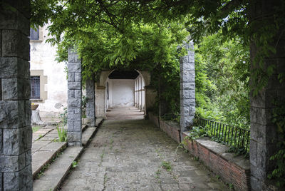 Corridor amidst trees