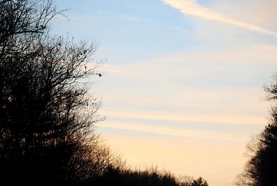 Silhouette tree against sky during sunset