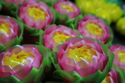 Full frame shot of pink roses