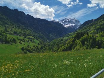 Scenic view of landscape against sky