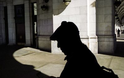 Side view of a black dog