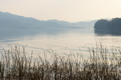 Scenic view of lake against clear sky