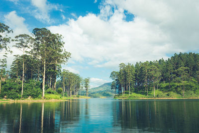 Beautiful landscape of sri lanka. river, mountains and tea plantations.