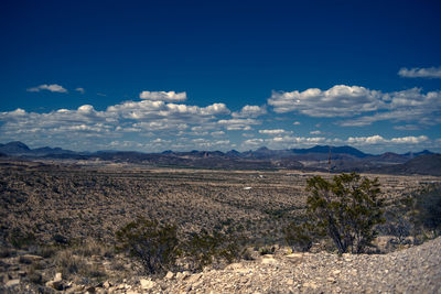 Scenic view of field against blue sky