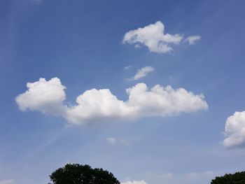 Low angle view of trees against blue sky