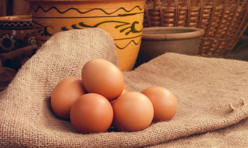 Close-up of egg