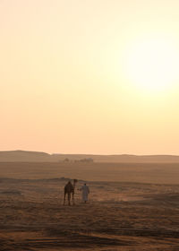 View of two horses on landscape at sunset