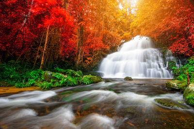 View of waterfall in forest