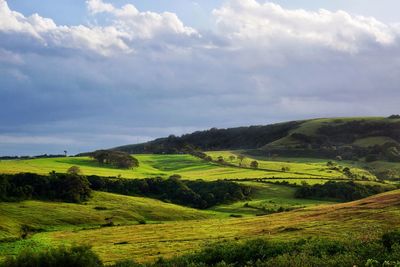 Scenic view of agricultural field against sky