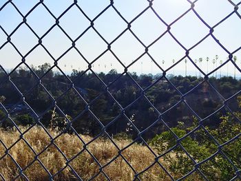 chainlink fence