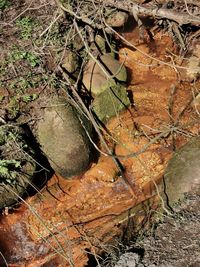 High angle view of rocks on field