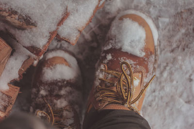 Low section of person standing in snow