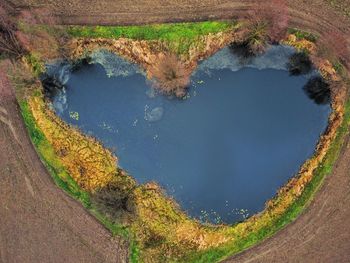 High angle view of lake along plants