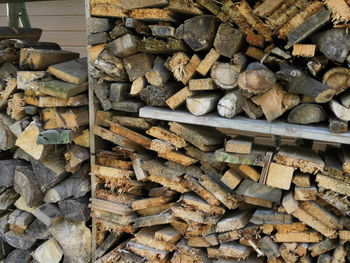 Stack of logs in forest