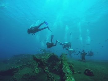 Diving in bali