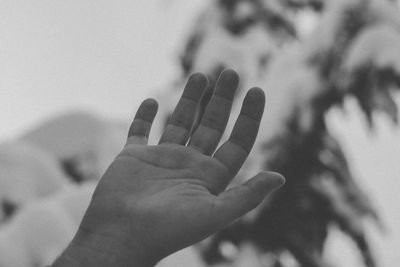 Close-up of woman hand