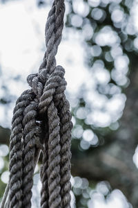 Close-up of rope tied up on wood
