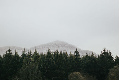 Scenic view of mountains against clear sky