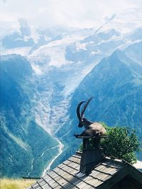 Mountain goat resting on house smokestack against mountains