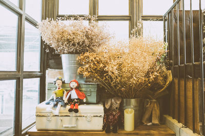 Dolls on trunk by plants