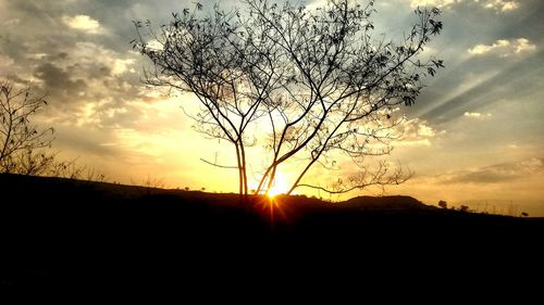 Silhouette tree against dramatic sky during sunset