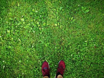 Low section of person standing on field