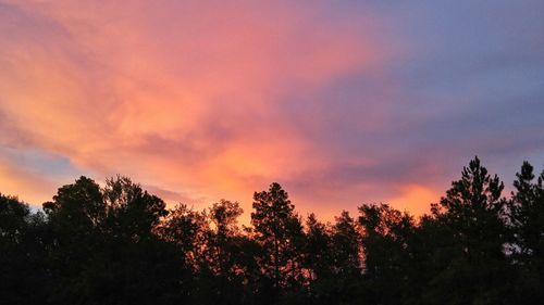 Low angle view of silhouette trees against sky at sunset