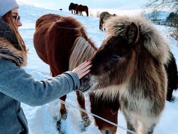 Side view of woman petting horse standing on field during winter