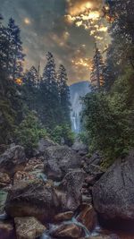 Scenic view of waterfall in forest against sky