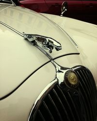 Close-up of vintage car