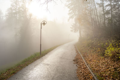 Empty road amidst trees in forest