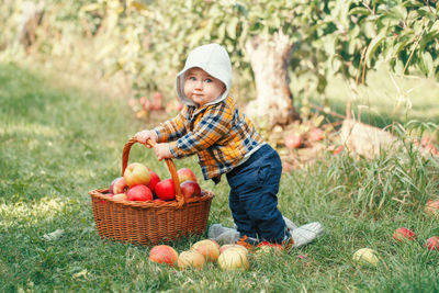 Baby boy holding fruits in basket at park