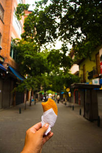 Midsection of person holding a empanada against trees in city