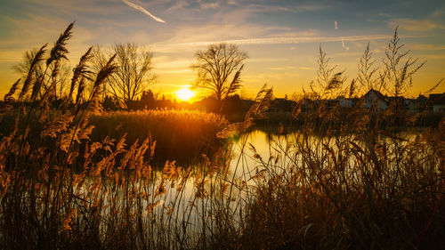 Scenic view of lake against sky during sunset