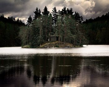 Trees by lake in forest against sky