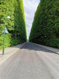 Road by trees in city against sky