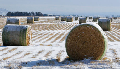 Hay bales on field against sky during winter