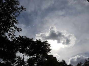 Low angle view of silhouette trees against sky