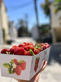 Close-up of hand holding strawberries