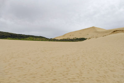 The te paki sand dunes on the northland peninsula of new zealand